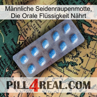 Männliche Seidenraupenmotte, Die Orale Flüssigkeit Nährt viagra3